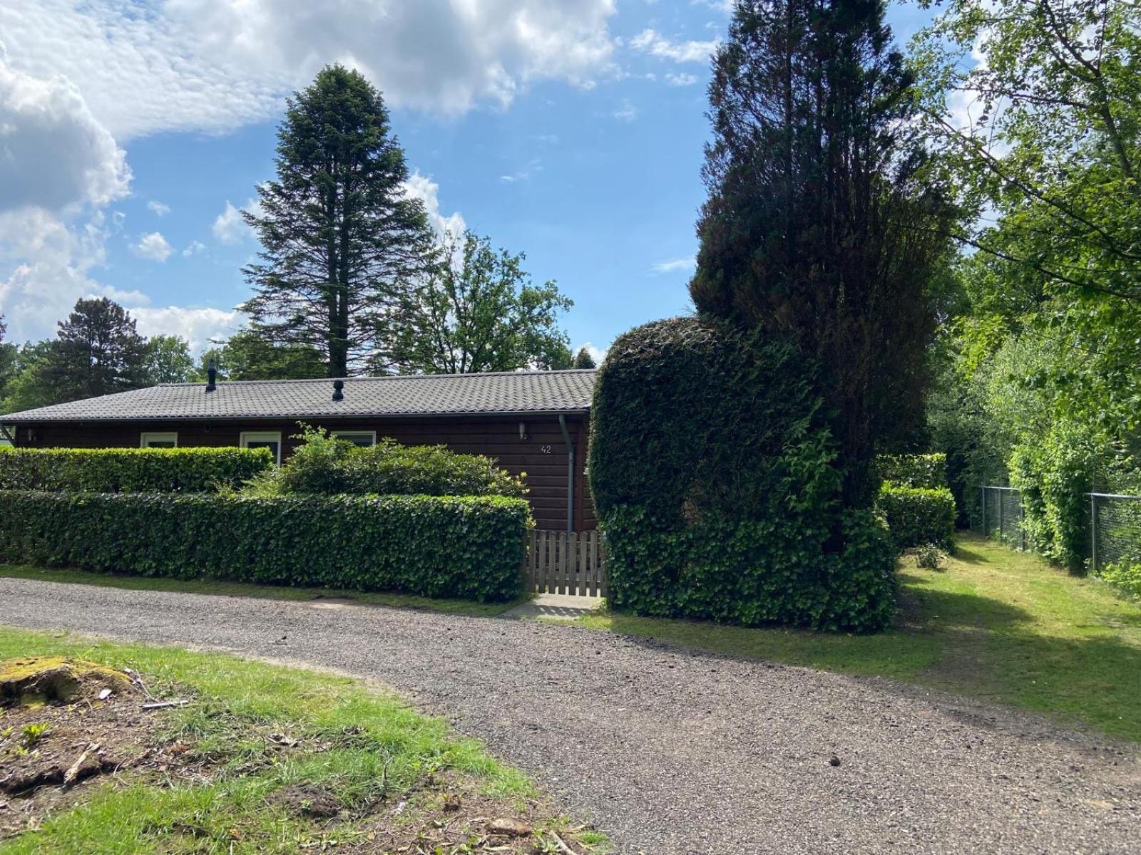 Ruime En Comfortabele Bungalow Aan Bosrand Lage Mierde Exterior photo